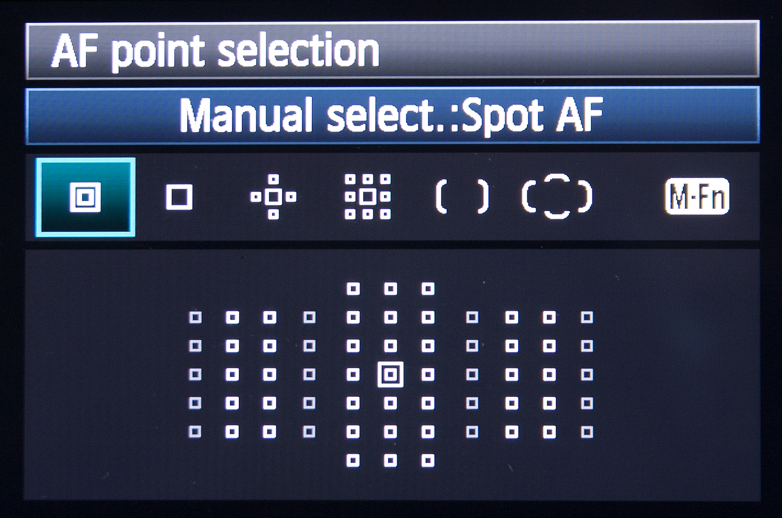 Understanding Camera Focusing A Photography Tutorial