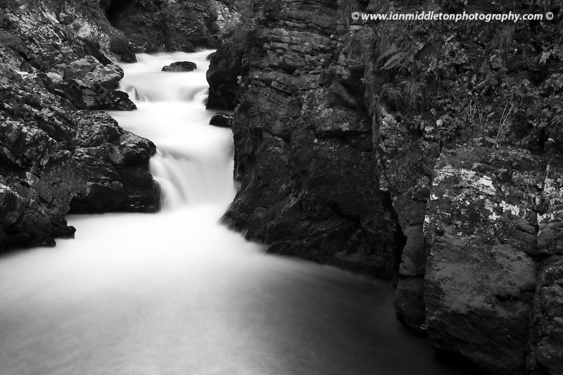 The Soteska Vintgar gorge, Gorje, near Bled, Slovenia. . The 1.6 km long Vintgar gorge carves its way through the vertical rocks of the Hom and Bort hills by the Radovna River.