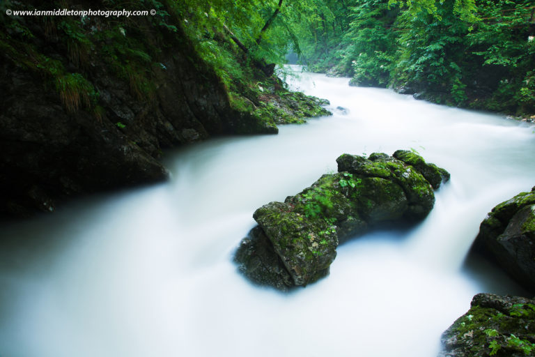 Blejski Vintgar gorge, Gorje, near Bled, Slovenia. The 1.6 km long Vintgar gorge has been carved through the vertical rocks of the Hom and Bort hills by the Radovna River.