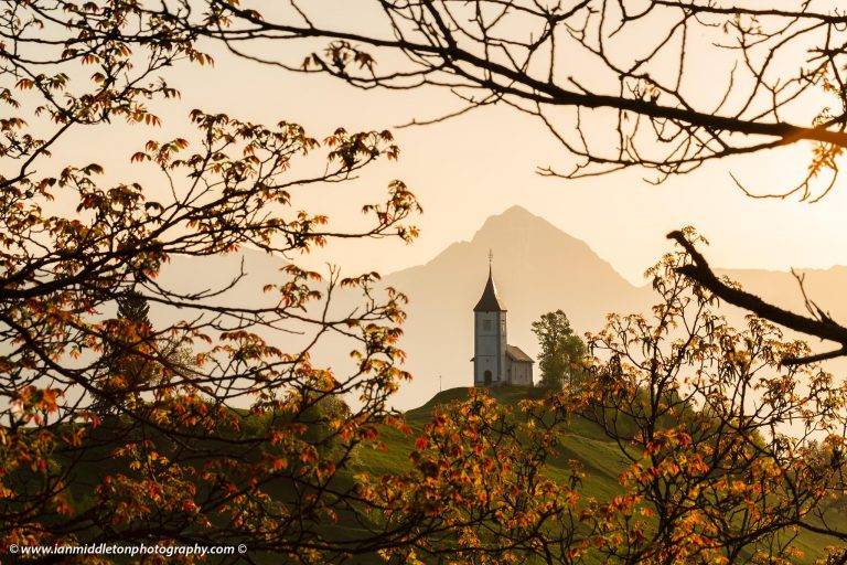 Sunrise at Jamnik church of Saints Primus and Felician, perched on a hill on the Jelovica Plateau with the kamnik alps and Storzic mountain in the background, Slovenia. Framed by some trees in Spring Bloom