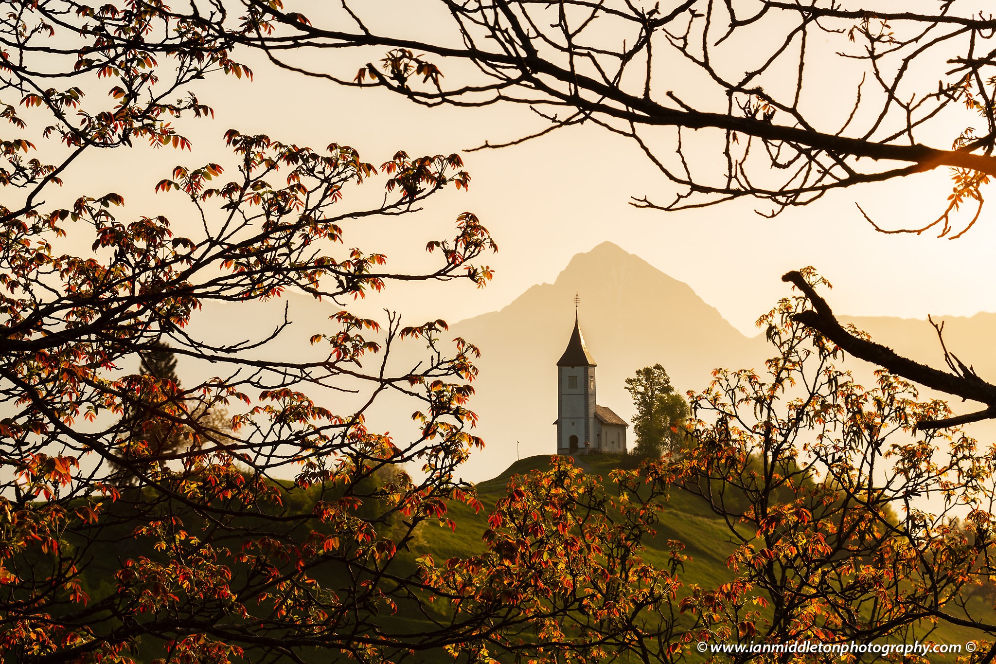 Sunrise at Jamnik church of Saints Primus and Felician, perched on a hill on the Jelovica Plateau with the kamnik alps and Storzic mountain in the background, Slovenia. Framed by some trees in Spring Bloom.