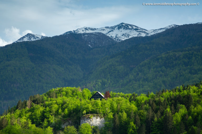 Lake Bohinj