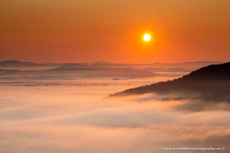 sunrise over the mist on the Ljubljana Moors (Ljubljansko Barje), a large area of wetland 160 square kilometres in size.