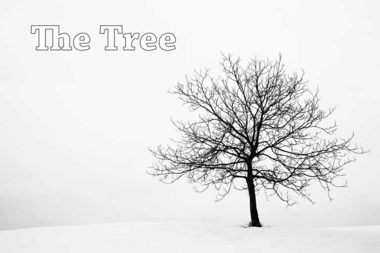 Lone tree on a snow covered hill in prezganje in the Jance hills to the east of Ljubljana, Slovenia.