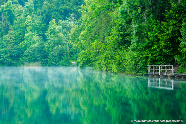Spring greens at Lake Bled, Slovenia