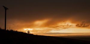 Hanging Gallows at Combe Gibbet on Gallows Down