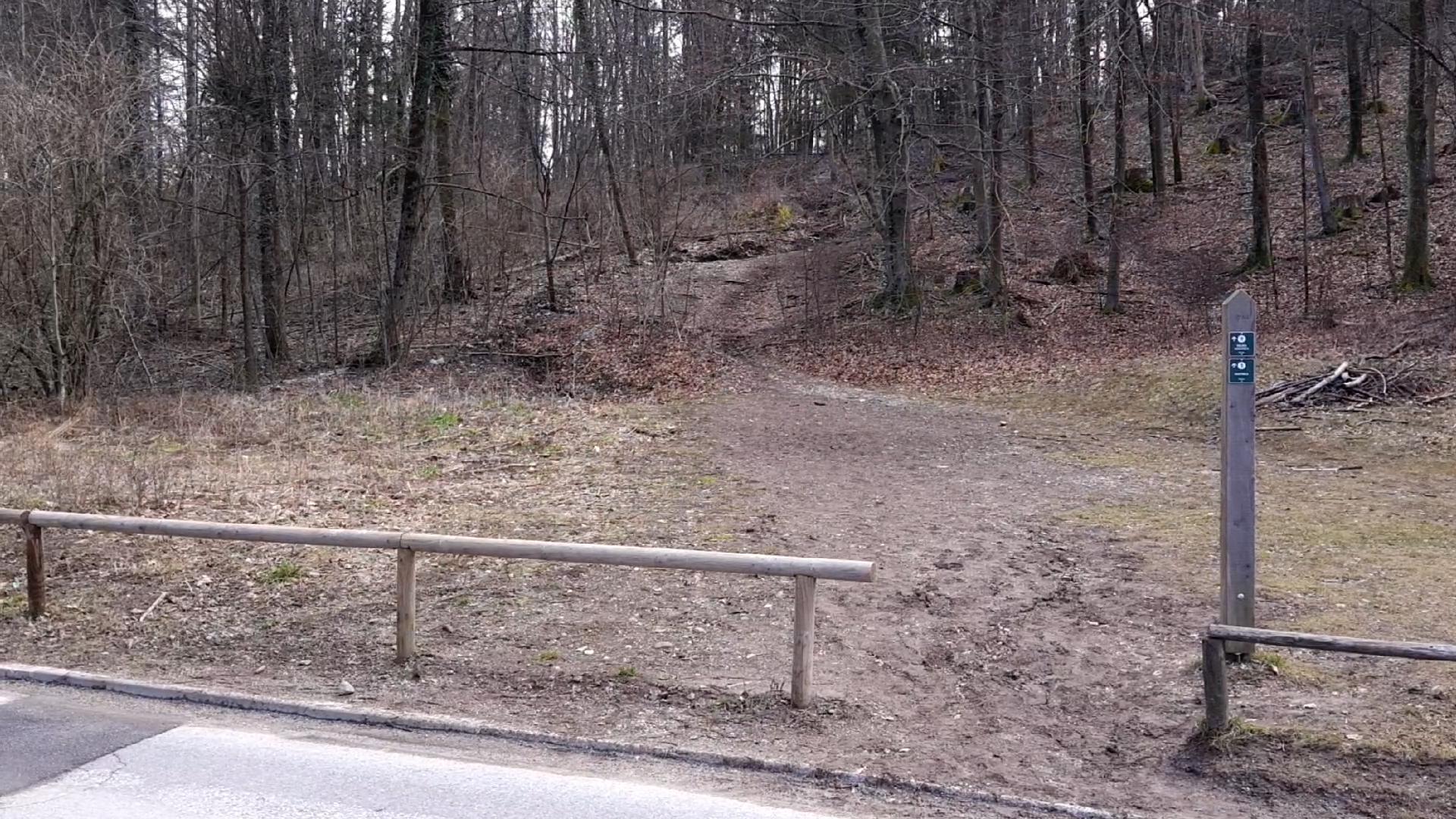 Ojstrica and Mala Osojnica trailhead, taking you through the forest.