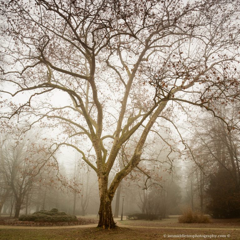 Tivoli Park on misty winter morning, Ljubljana, Slovenia.