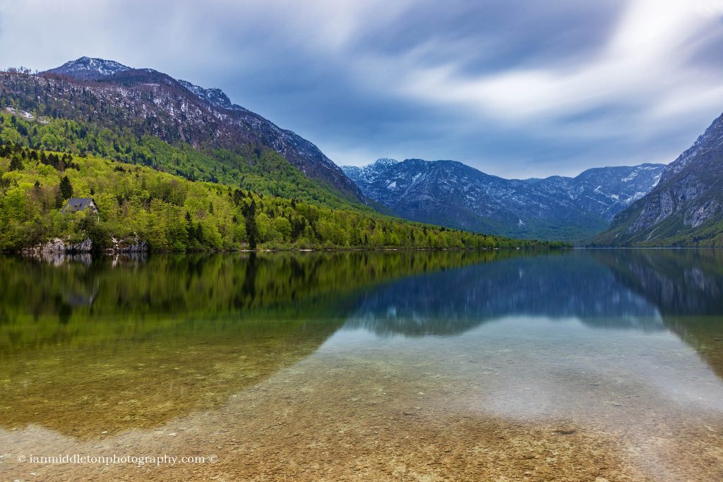 Late Spring greens at Lake Bohinj, Triglav National Park, Slovenia