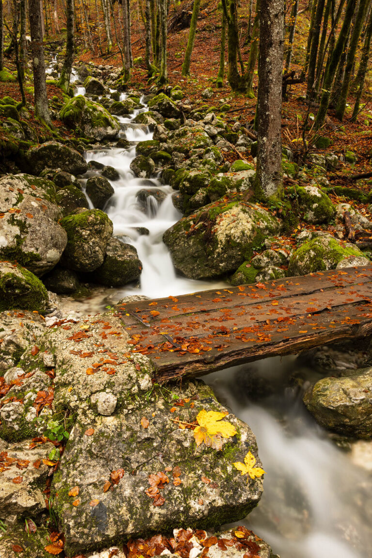 Mostnica Gorge, Bohinj Valley, Slovenia