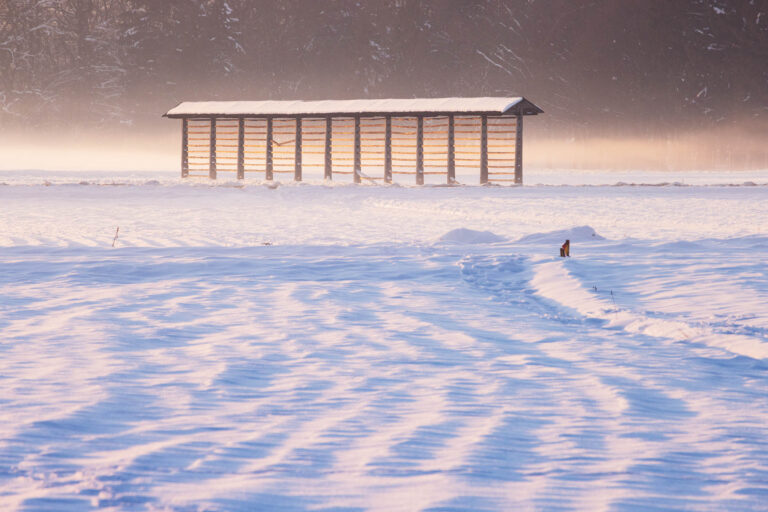 Kozolec (wooden hay rack) in the snow and mist on the outskirts of Ljubljana, Slovenia