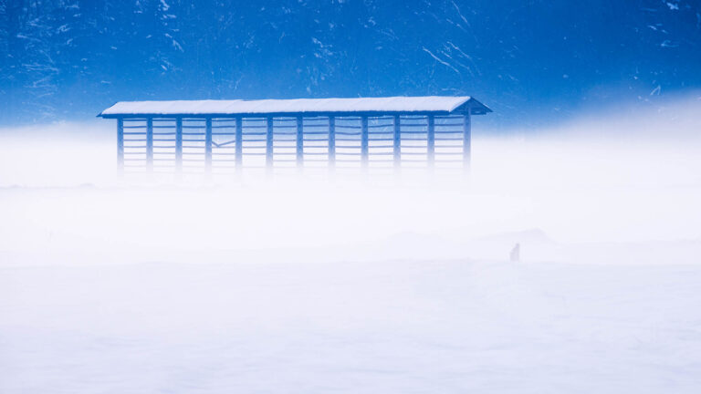 Kozolec (wooden hay rack) in the snow and mist on the outskirts of Ljubljana, Slovenia