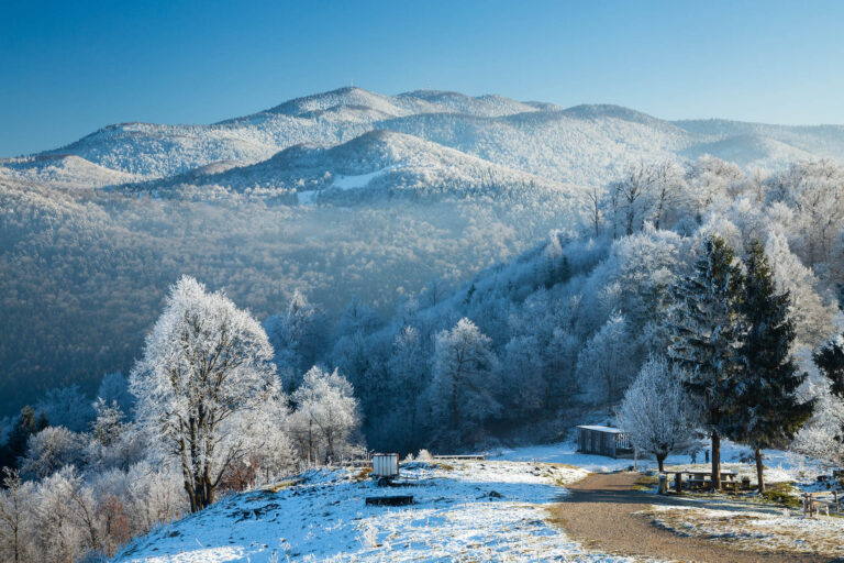 Winter landscape