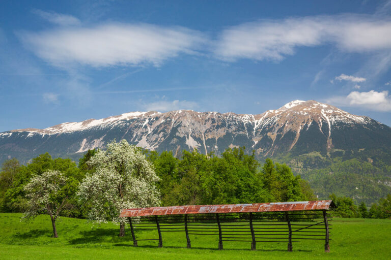 Spring in Bled